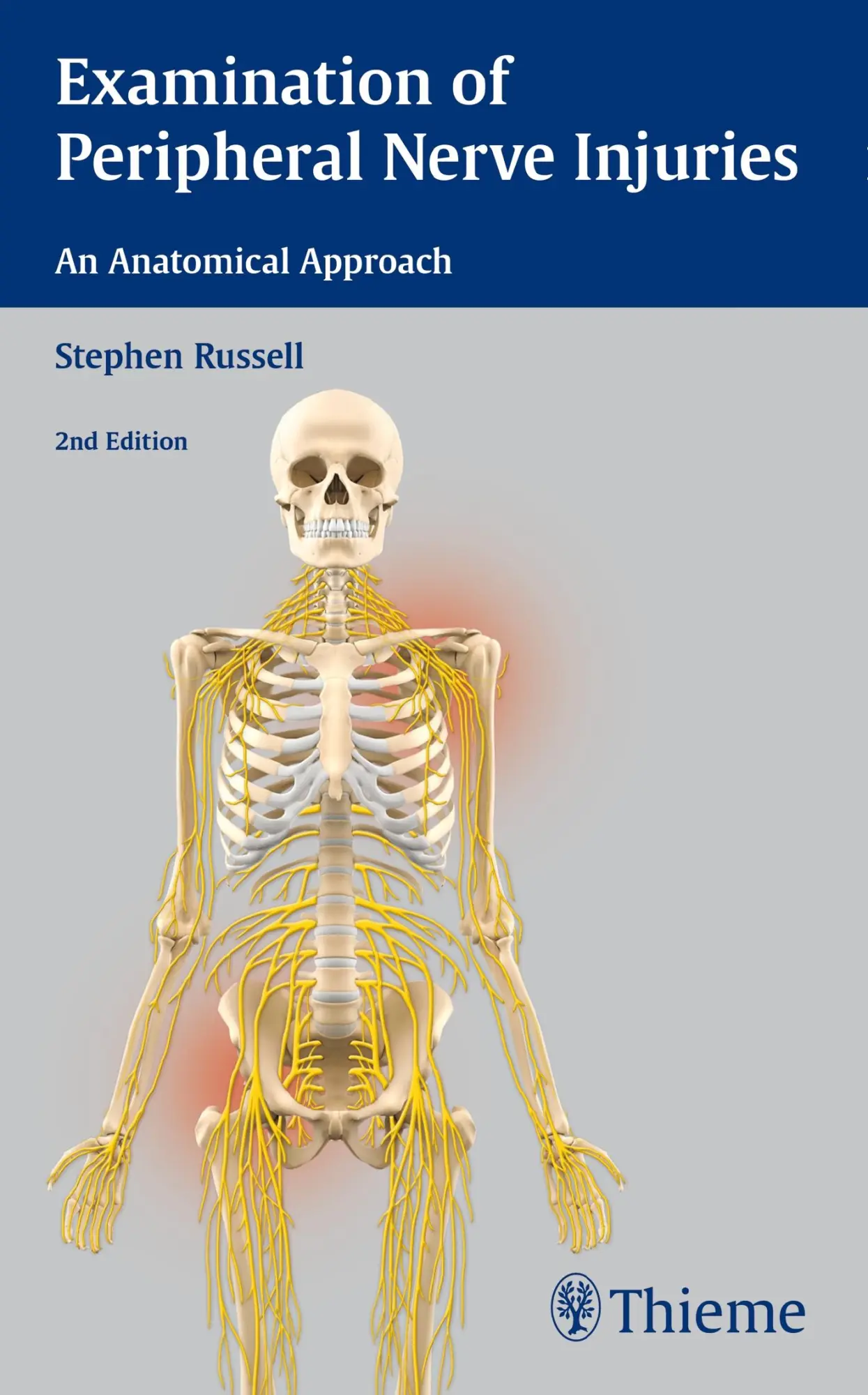 Cover: 9781626230385 | Examination of Peripheral Nerve Injuries: An Anatomical Approach