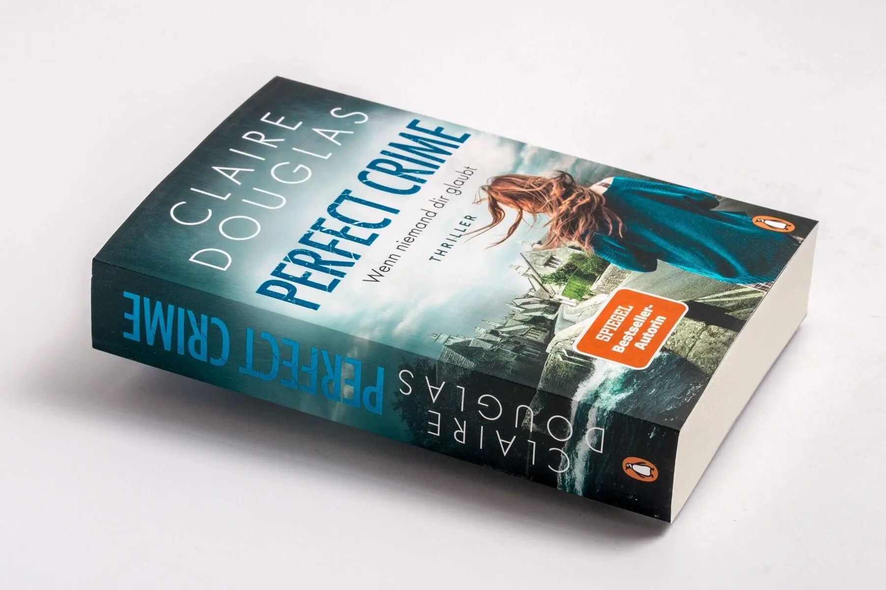 Bild: 9783328110385 | Perfect Crime - Wenn niemand dir glaubt | Claire Douglas | Taschenbuch