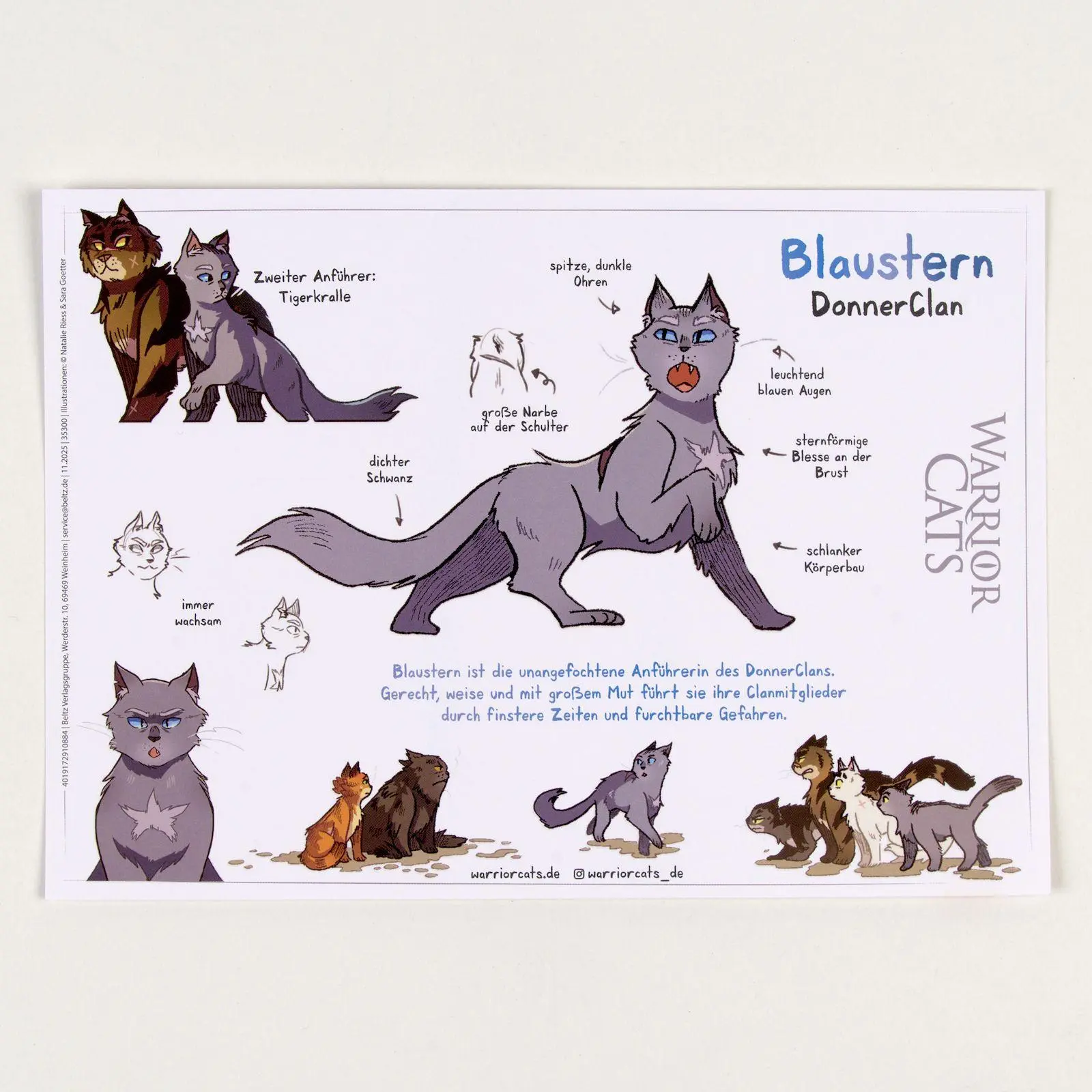 Bild: 9783407790385 | Warrior Cats - Die Prophezeiungen beginnen | Graphic Novel 2 | Hunter