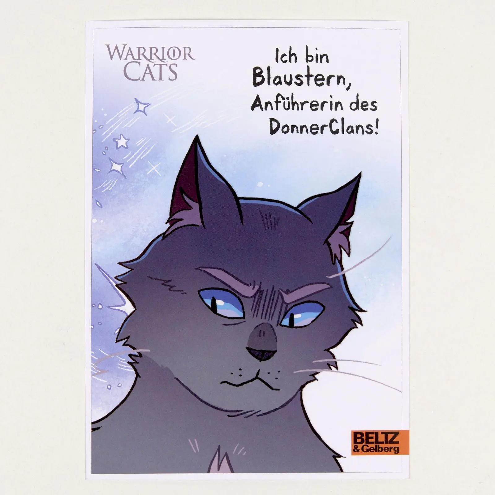 Bild: 9783407790385 | Warrior Cats - Die Prophezeiungen beginnen | Graphic Novel 2 | Hunter
