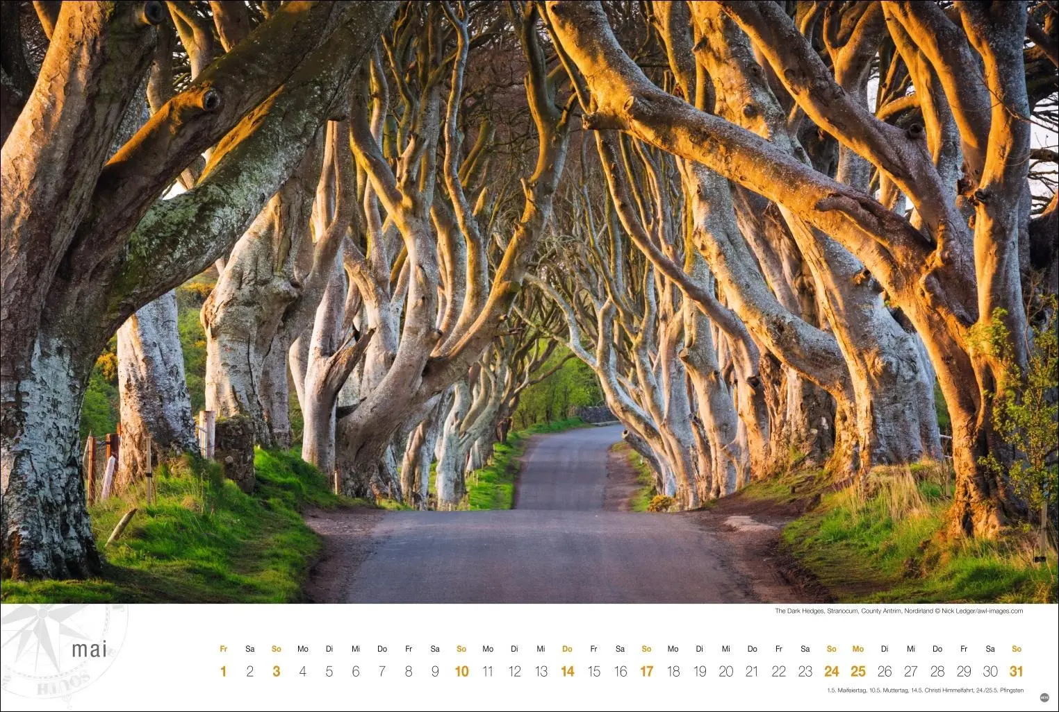 Bild: 9783756410385 | Irland Globetrotter Kalender 2026 - Von rauen Küsten und grünen Hügeln