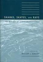 Cover: 9780801860485 | Sharks, Skates, and Rays | The Biology of Elasmobranch Fishes | Buch