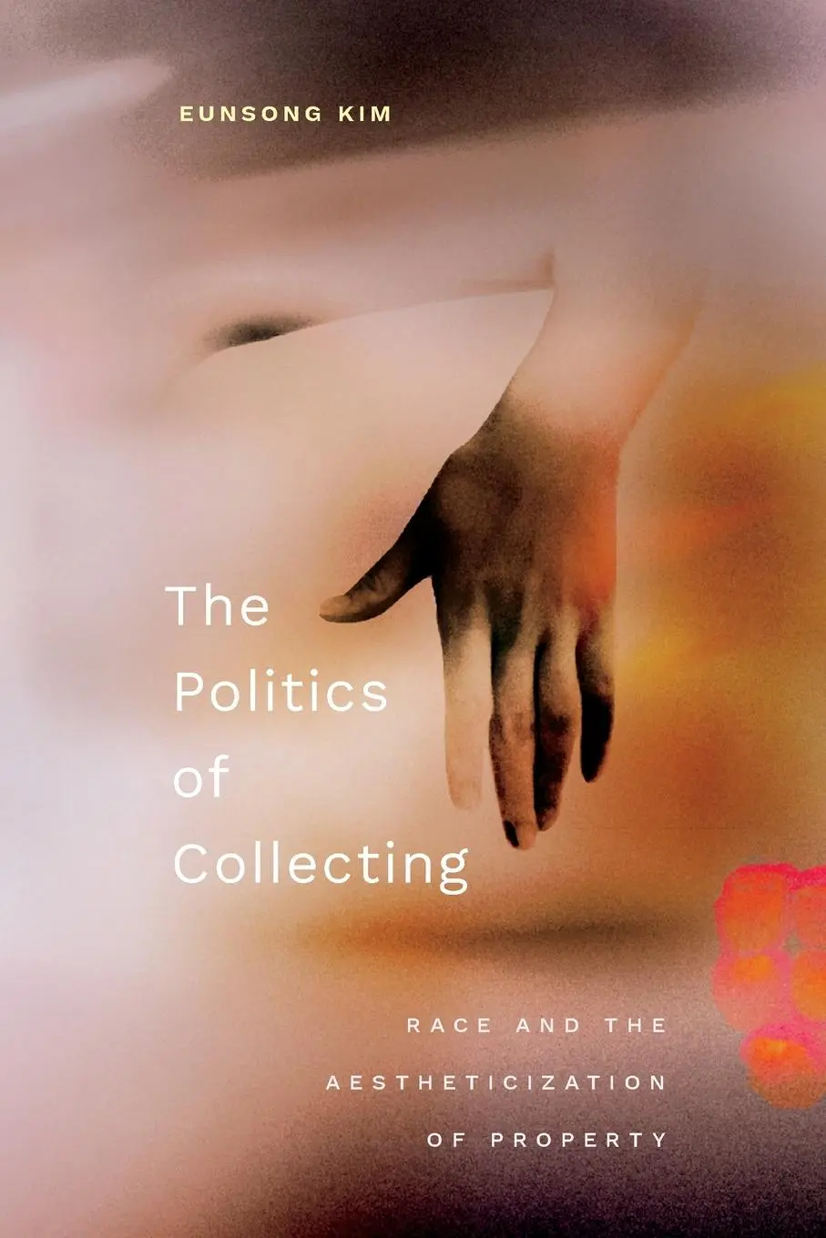 Cover: 9781478030485 | The Politics of Collecting | Race and the Aestheticization of Property