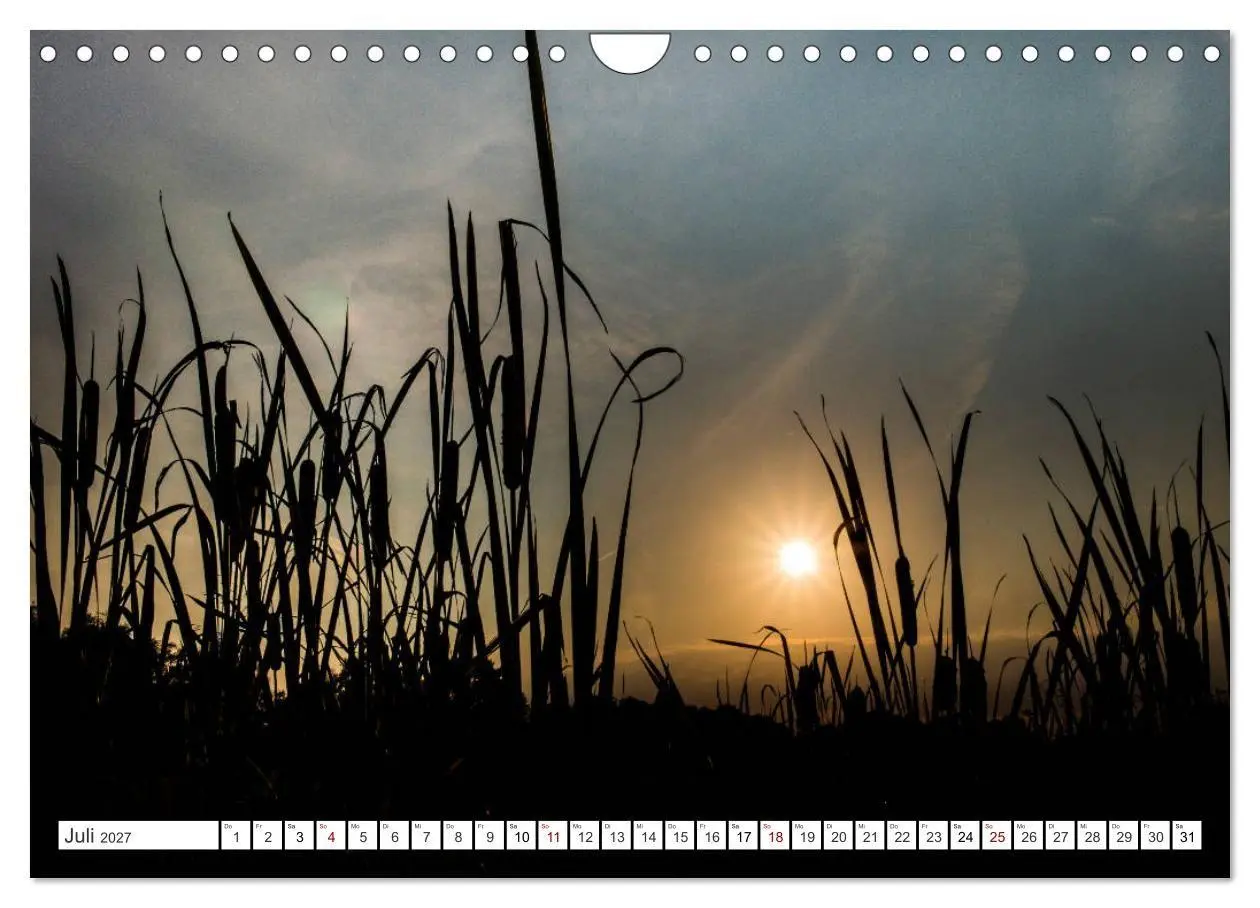 Bild: 9783569840485 | Osterholz-Scharmbeck, Natur-Impressionen aus dem Teufelsmoor...