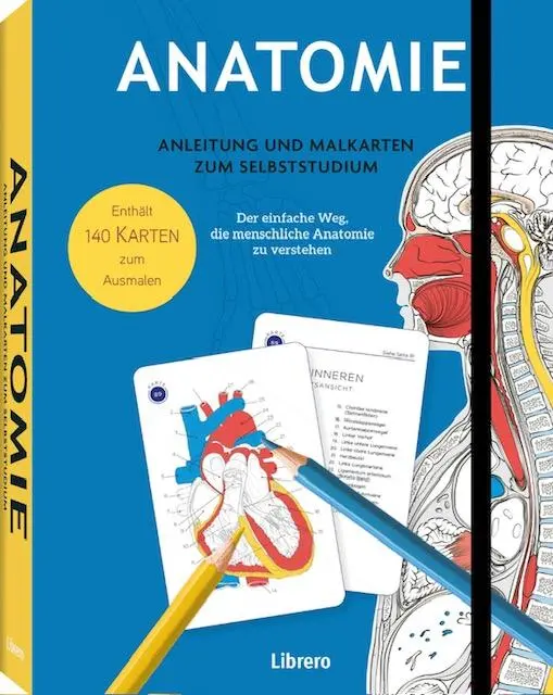 Cover: 9789464990485 | Anatomie - Anleitung und Malkarten zum Selbststudium | Gary Sacks