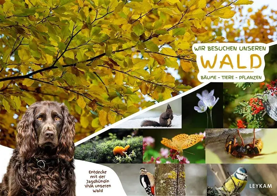 Cover: 9783701180585 | Wir besuchen unseren Wald | Georg Rothmann (u. a.) | Buch | Gebunden