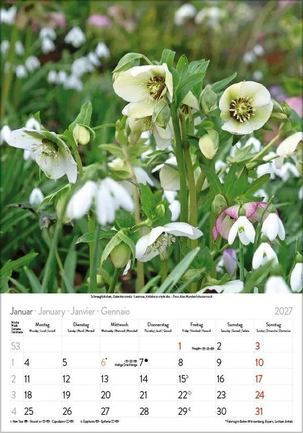 Bild: 9783819300585 | Blütenzauber 2027 | Verlag Korsch | Kalender | Spiralbindung | 13 S.