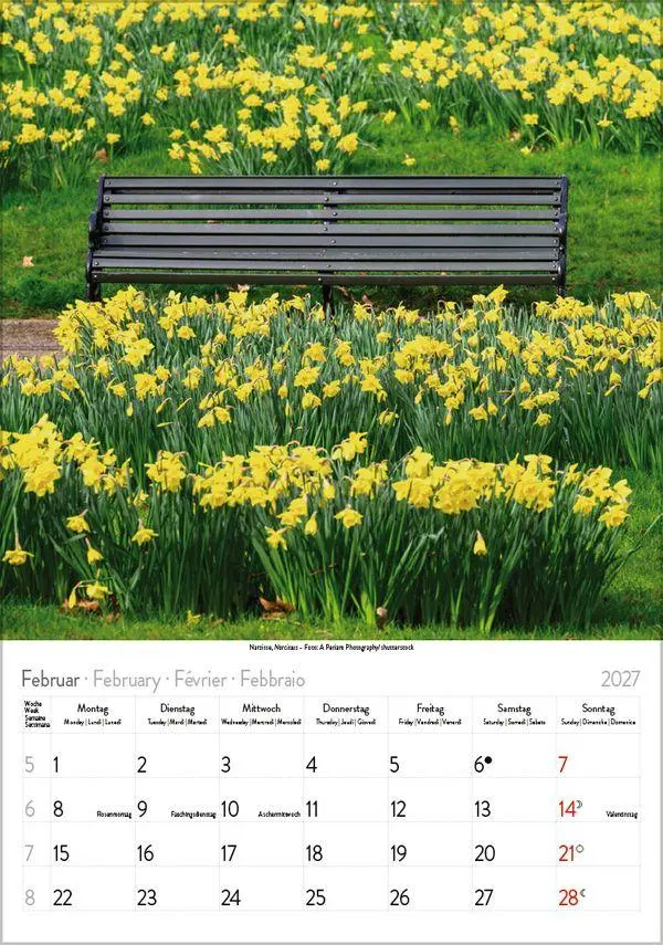 Bild: 9783819300585 | Blütenzauber 2027 | Verlag Korsch | Kalender | Spiralbindung | 13 S.