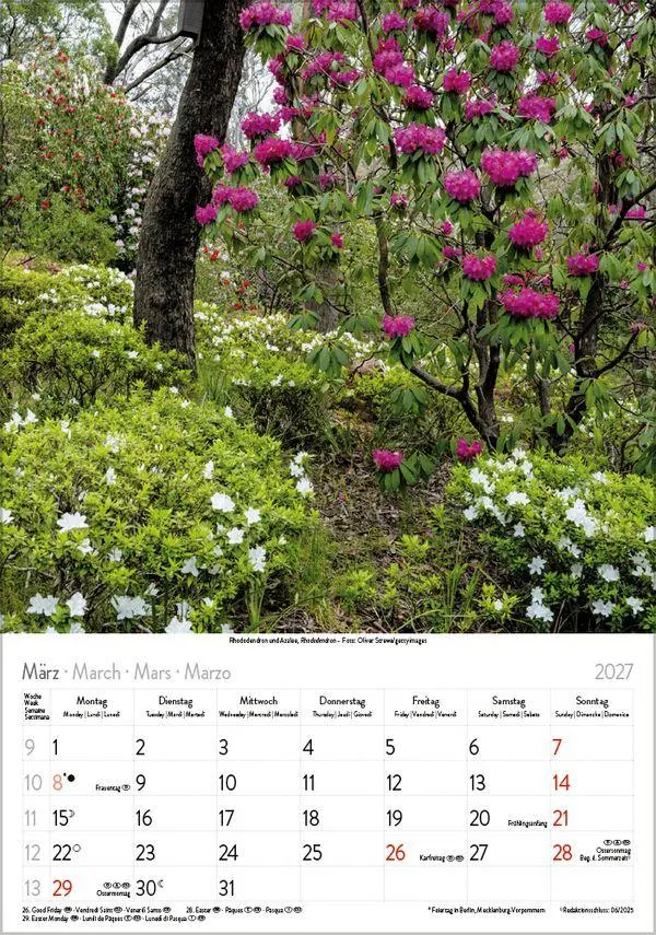 Bild: 9783819300585 | Blütenzauber 2027 | Verlag Korsch | Kalender | Spiralbindung | 13 S.