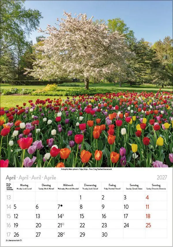 Bild: 9783819300585 | Blütenzauber 2027 | Verlag Korsch | Kalender | Spiralbindung | 13 S.