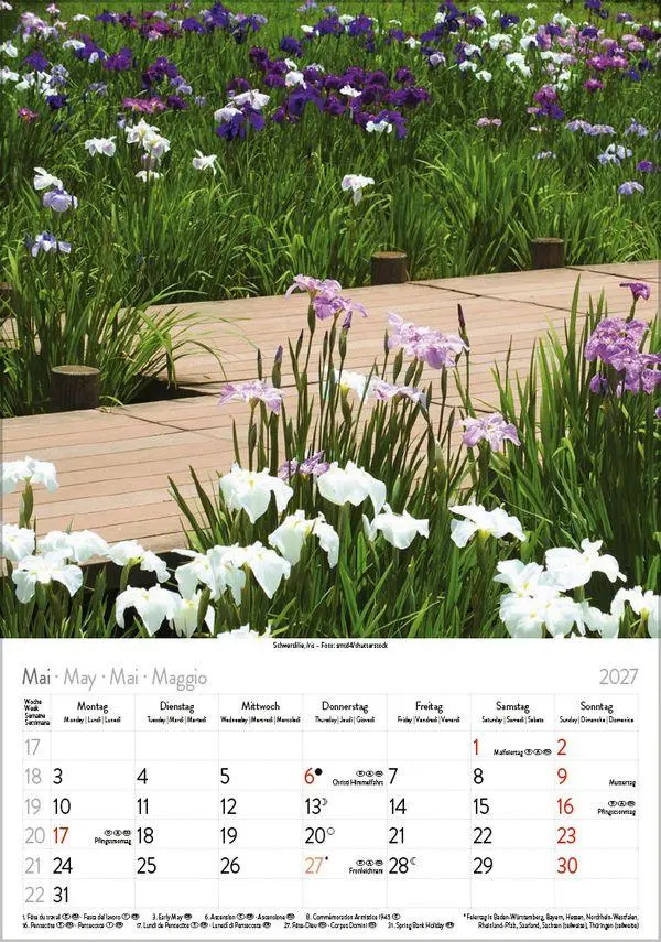 Bild: 9783819300585 | Blütenzauber 2027 | Verlag Korsch | Kalender | Spiralbindung | 13 S.
