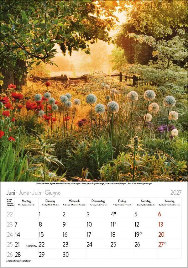 Bild: 9783819300585 | Blütenzauber 2027 | Verlag Korsch | Kalender | Spiralbindung | 13 S.