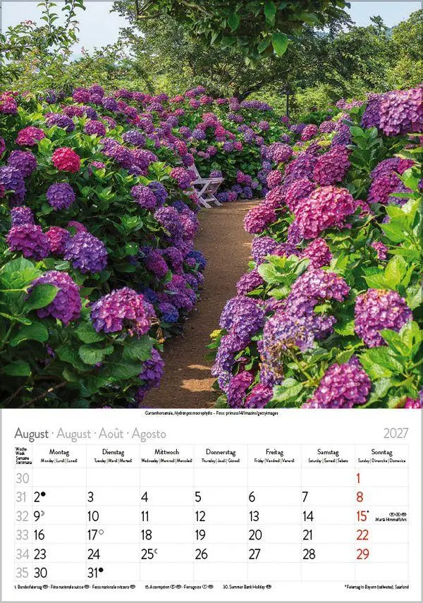 Bild: 9783819300585 | Blütenzauber 2027 | Verlag Korsch | Kalender | Spiralbindung | 13 S.