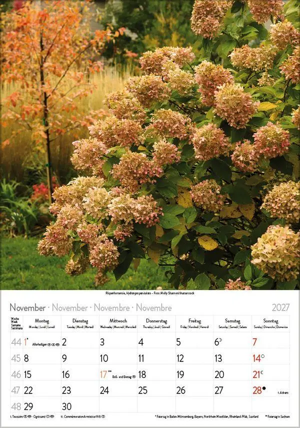 Bild: 9783819300585 | Blütenzauber 2027 | Verlag Korsch | Kalender | Spiralbindung | 13 S.