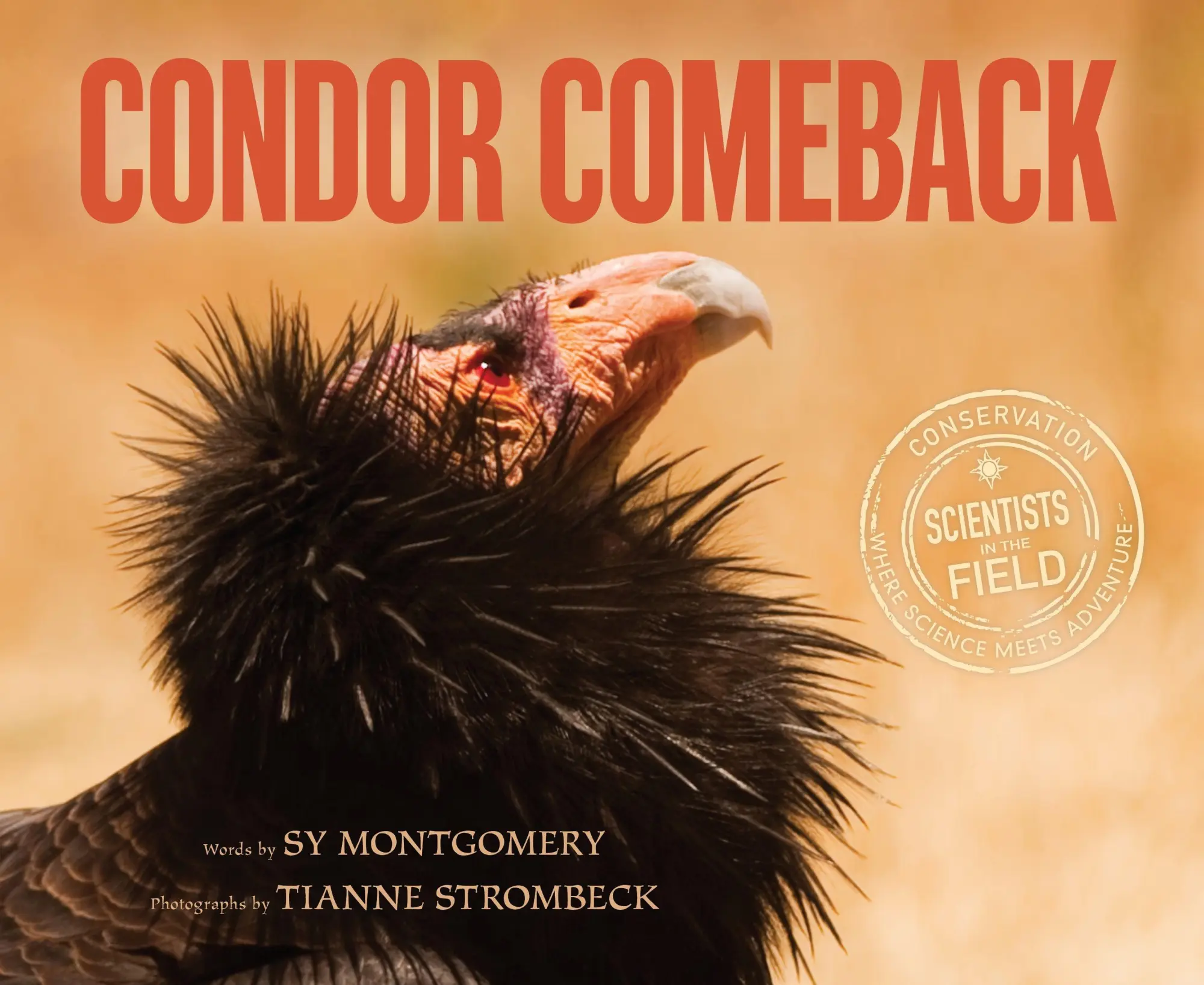 Condor Comeback - Sy Montgomery Kartoniert (TB)