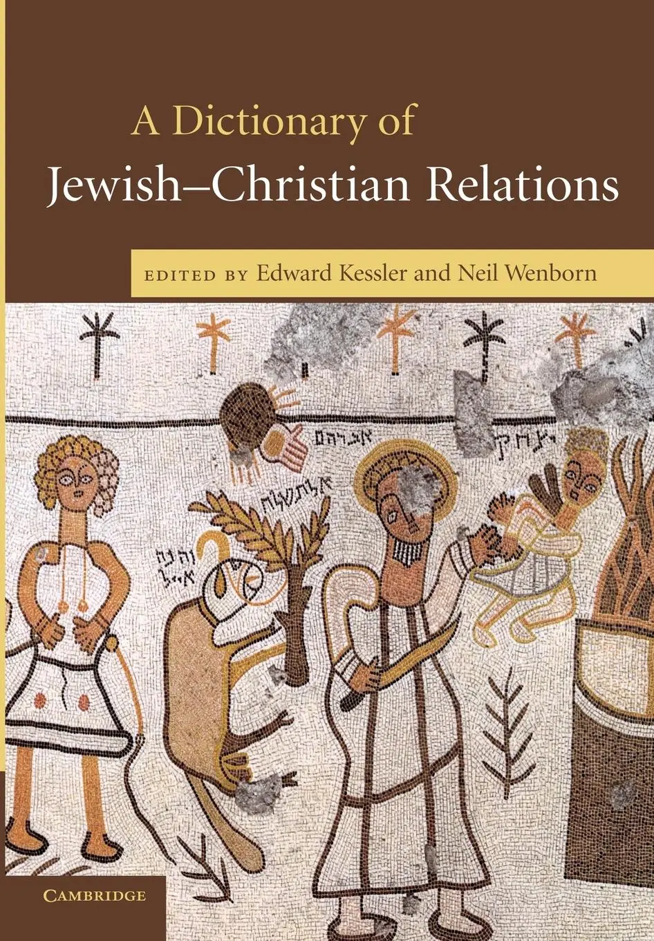 Cover: 9780521730785 | A Dictionary of Jewish-Christian Relations | Edward Kessler (u. a.)