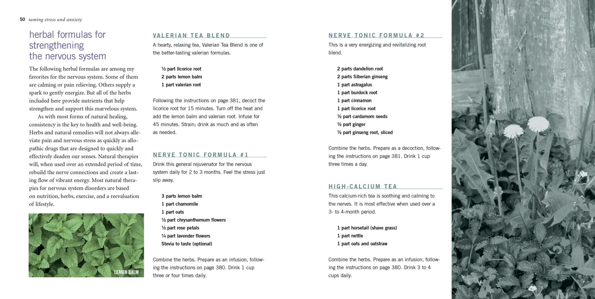 Bild: 9781603420785 | Rosemary Gladstar's Herbal Recipes for Vibrant Health | Gladstar