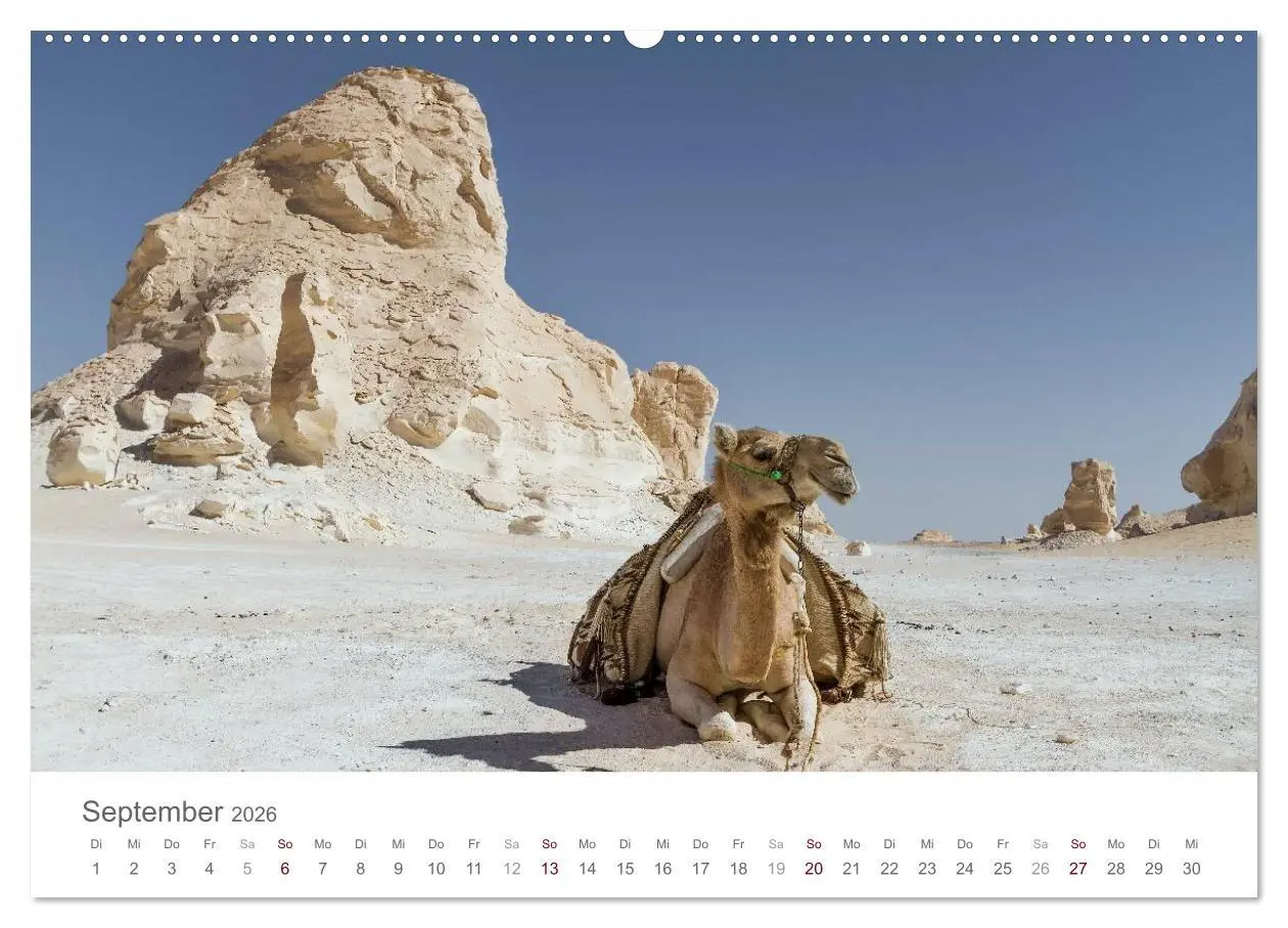 Bild: 9783516030785 | Impressionen - Weiße Wüste (hochwertiger Premium Wandkalender 2026...