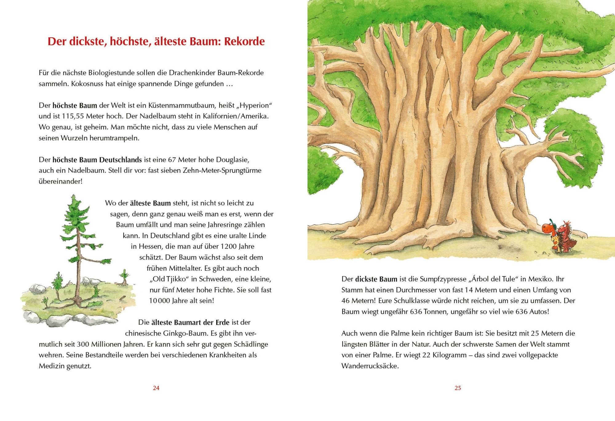 Bild: 9783570180785 | Der kleine Drache Kokosnuss - Mein erstes Wald-Buch | Ingo Siegner