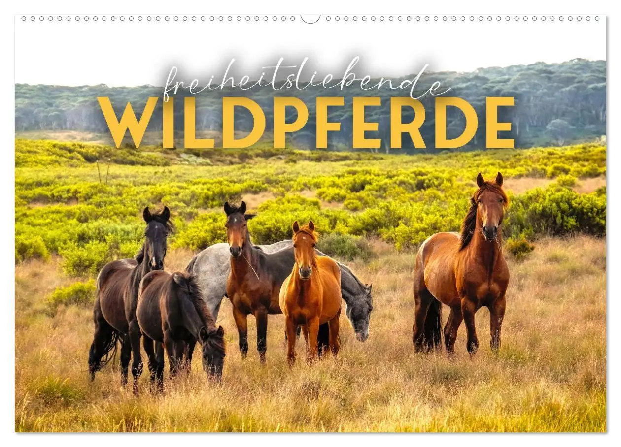 Cover: 9783457550885 | Freiheitsliebende Wildpferde (Wandkalender 2026 DIN A2 quer),...