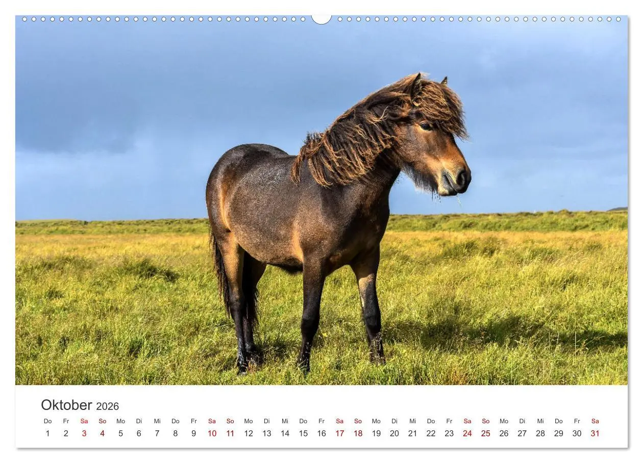 Bild: 9783457550885 | Freiheitsliebende Wildpferde (Wandkalender 2026 DIN A2 quer),...