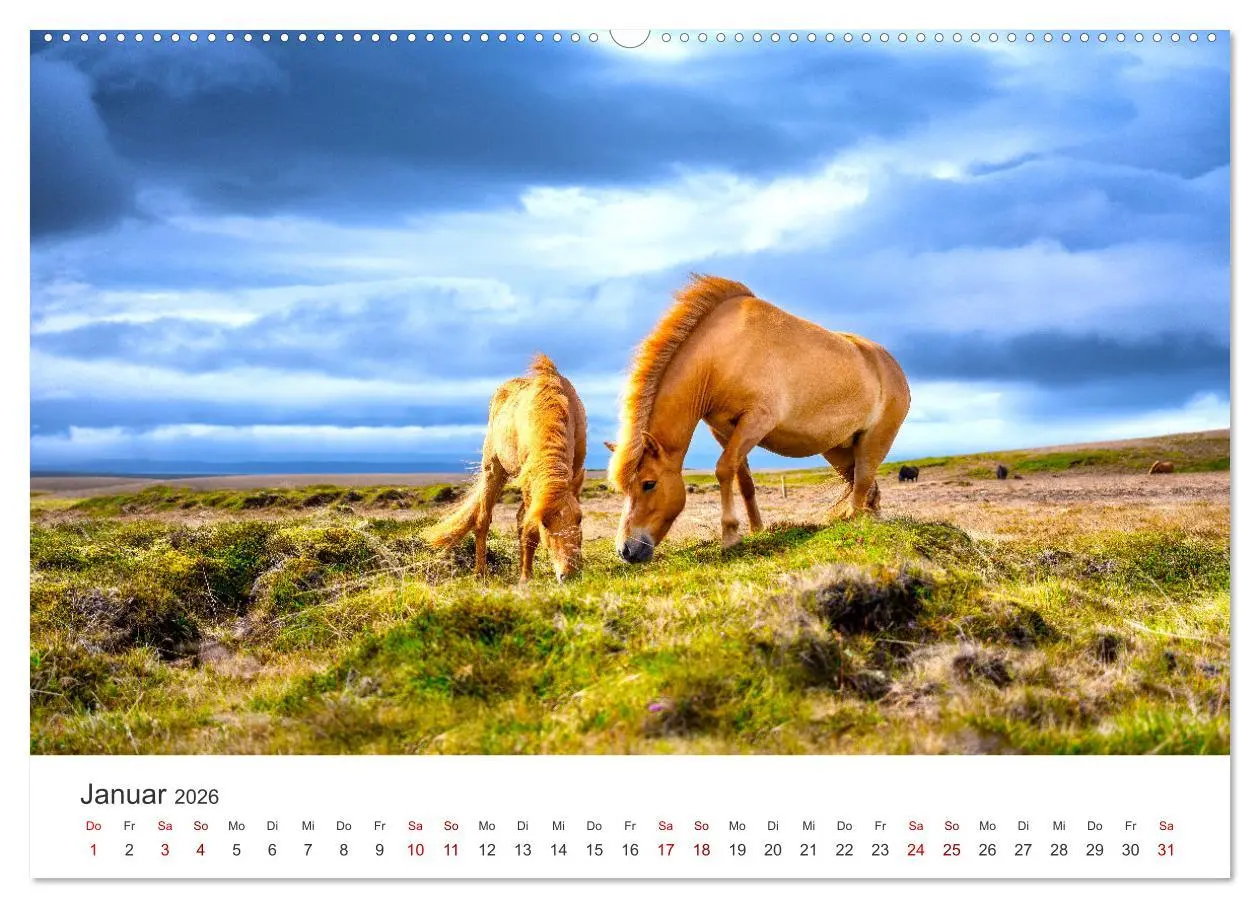 Bild: 9783457550885 | Freiheitsliebende Wildpferde (Wandkalender 2026 DIN A2 quer),...