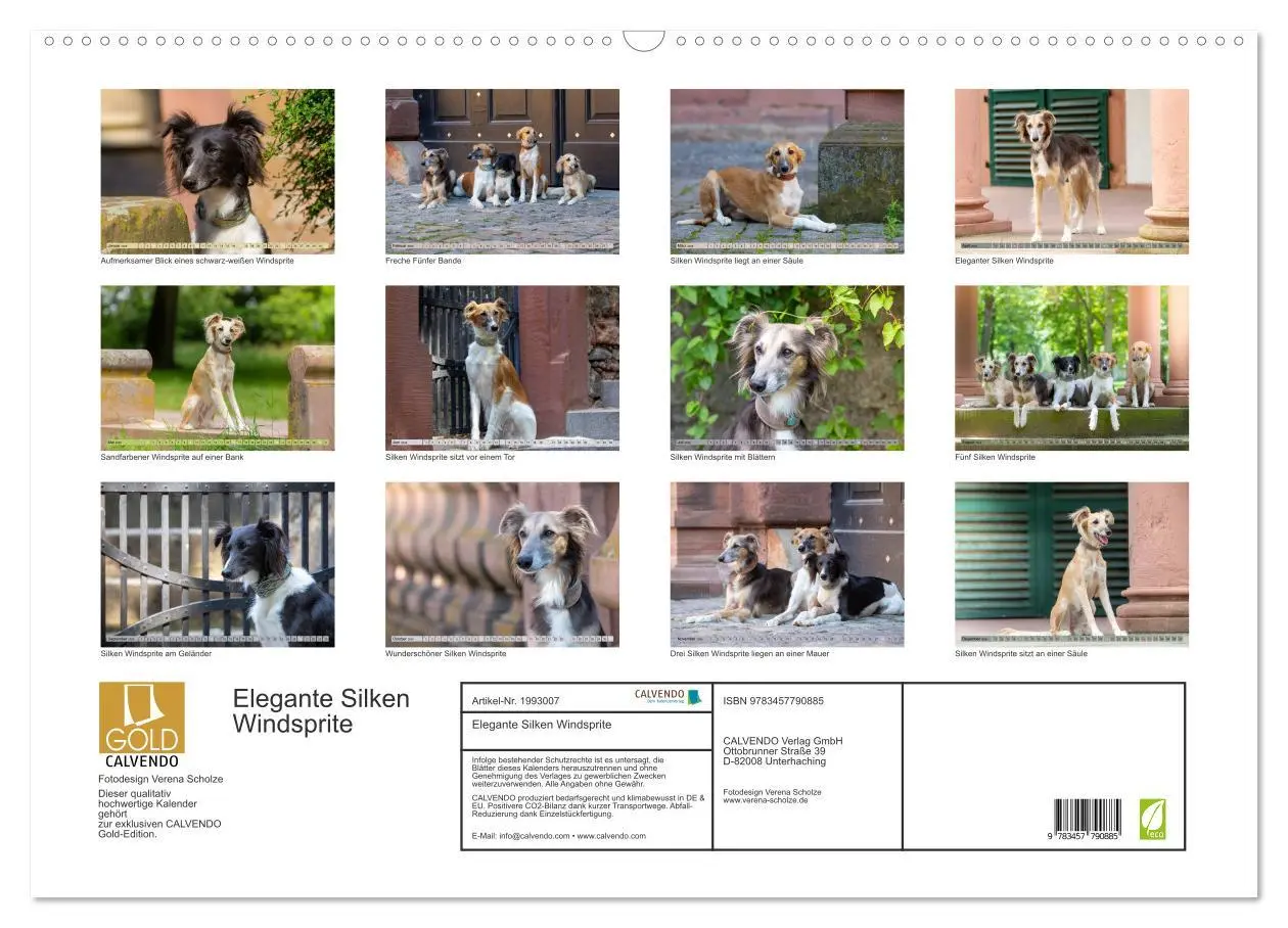 Bild: 9783457790885 | Elegante Silken Windsprite (Wandkalender 2026 DIN A2 quer),...