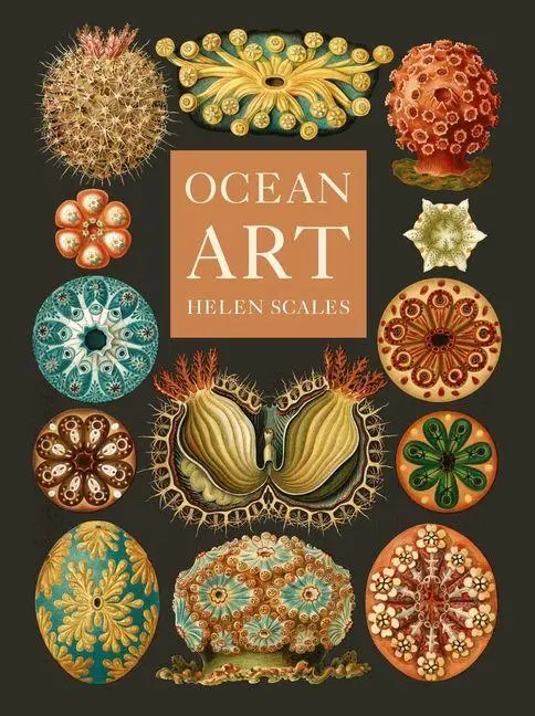 Cover: 9781836390985 | Ocean Art | From the Shore to the Deep | Helen Scales | Buch | 2025