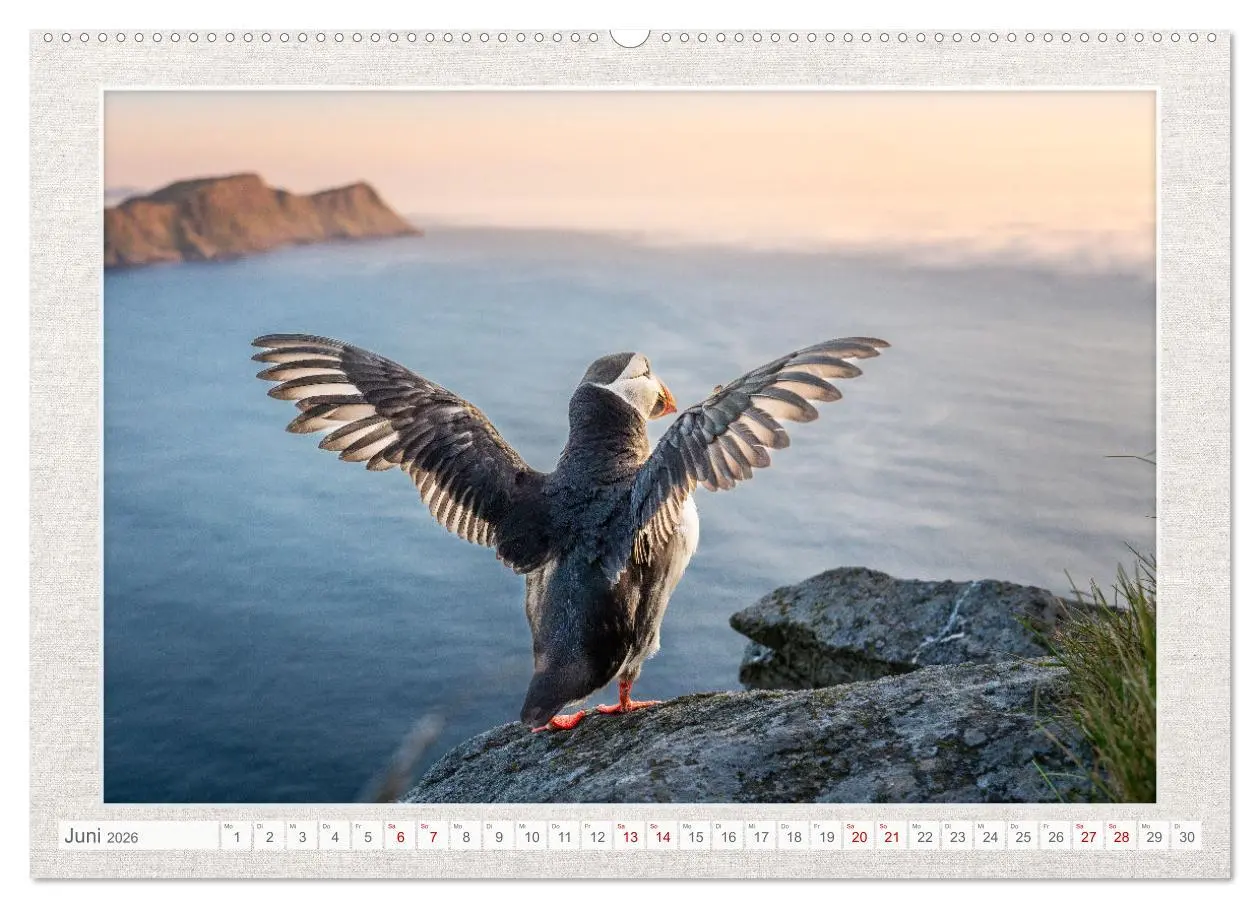Bild: 9783457501085 | Die kleinen schönen (Wandkalender 2026 DIN A2 quer), CALVENDO...