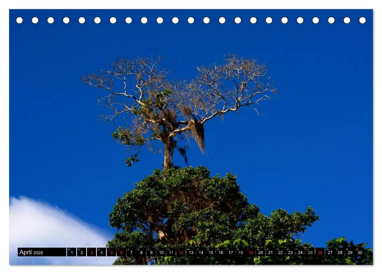 Bild: 9783457981085 | Faszination Venezuela (Tischkalender 2026 DIN A5 quer), CALVENDO...