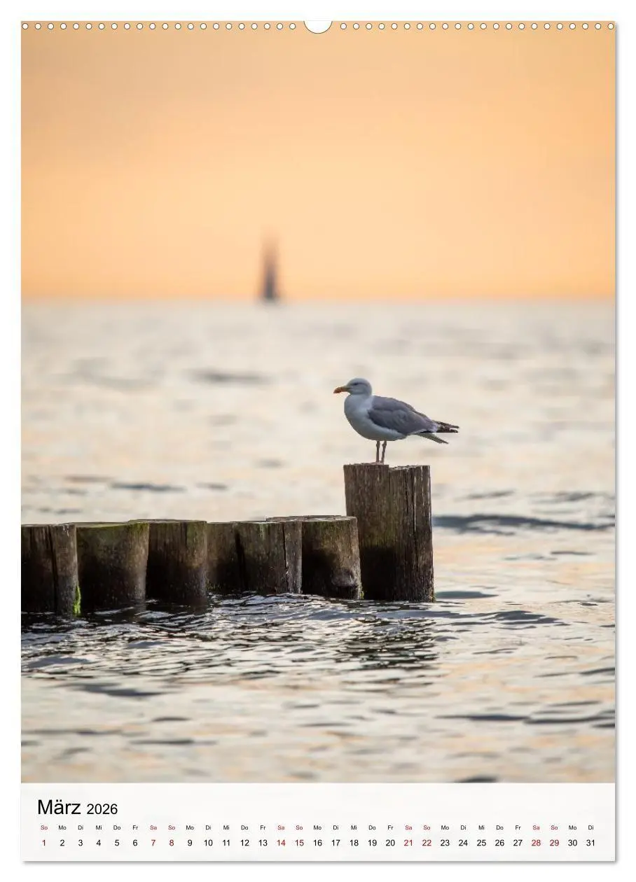 Bild: 9783516691085 | Fischland-Darß-Zingst - Im Licht des Nordens (hochwertiger Premium...