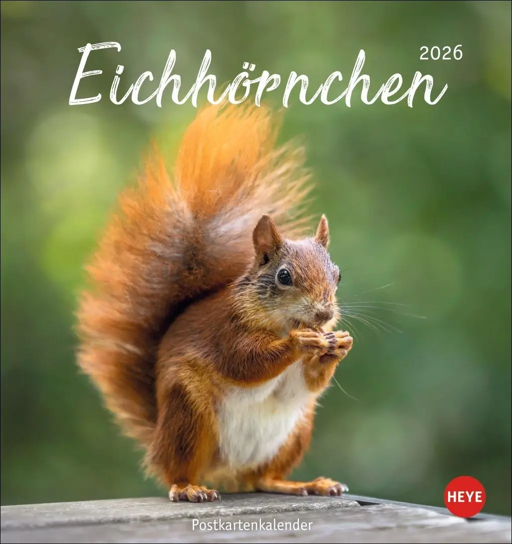 Cover: 9783756411085 | Eichhörnchen Postkartenkalender 2026 | Heye | Kalender | Spiralbindung