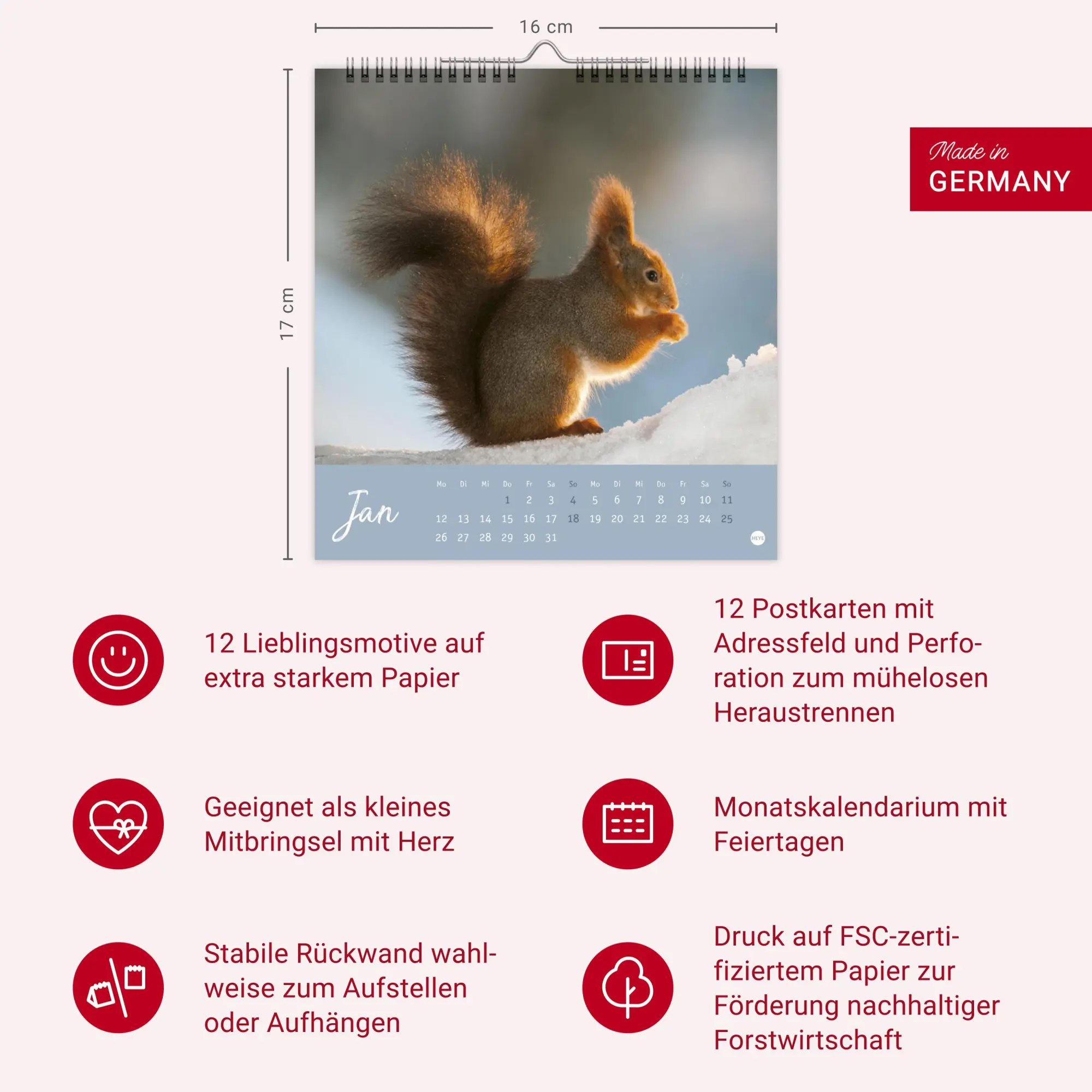 Bild: 9783756411085 | Eichhörnchen Postkartenkalender 2026 | Heye | Kalender | Spiralbindung