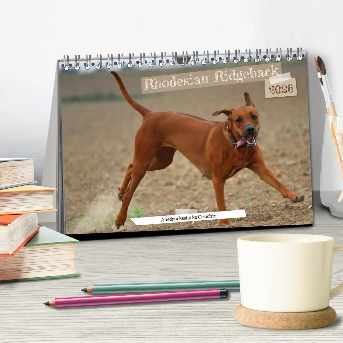 Bild: 9783457591185 | Rhodesian Ridgeback - Ausdrucksstarke Gesichter (Tischkalender 2026...