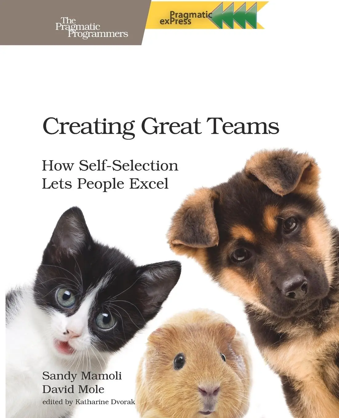 Cover: 9781680501285 | Creating Great Teams | How Self-Selection Lets People Excel | Buch