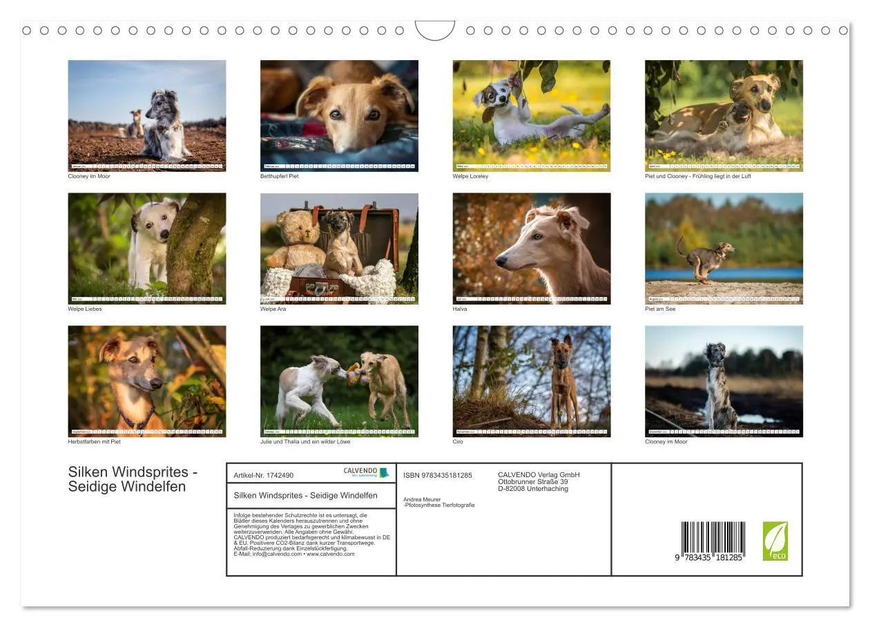 Bild: 9783435181285 | Silken Windsprites - Seidige Windelfen (Wandkalender 2025 DIN A3...