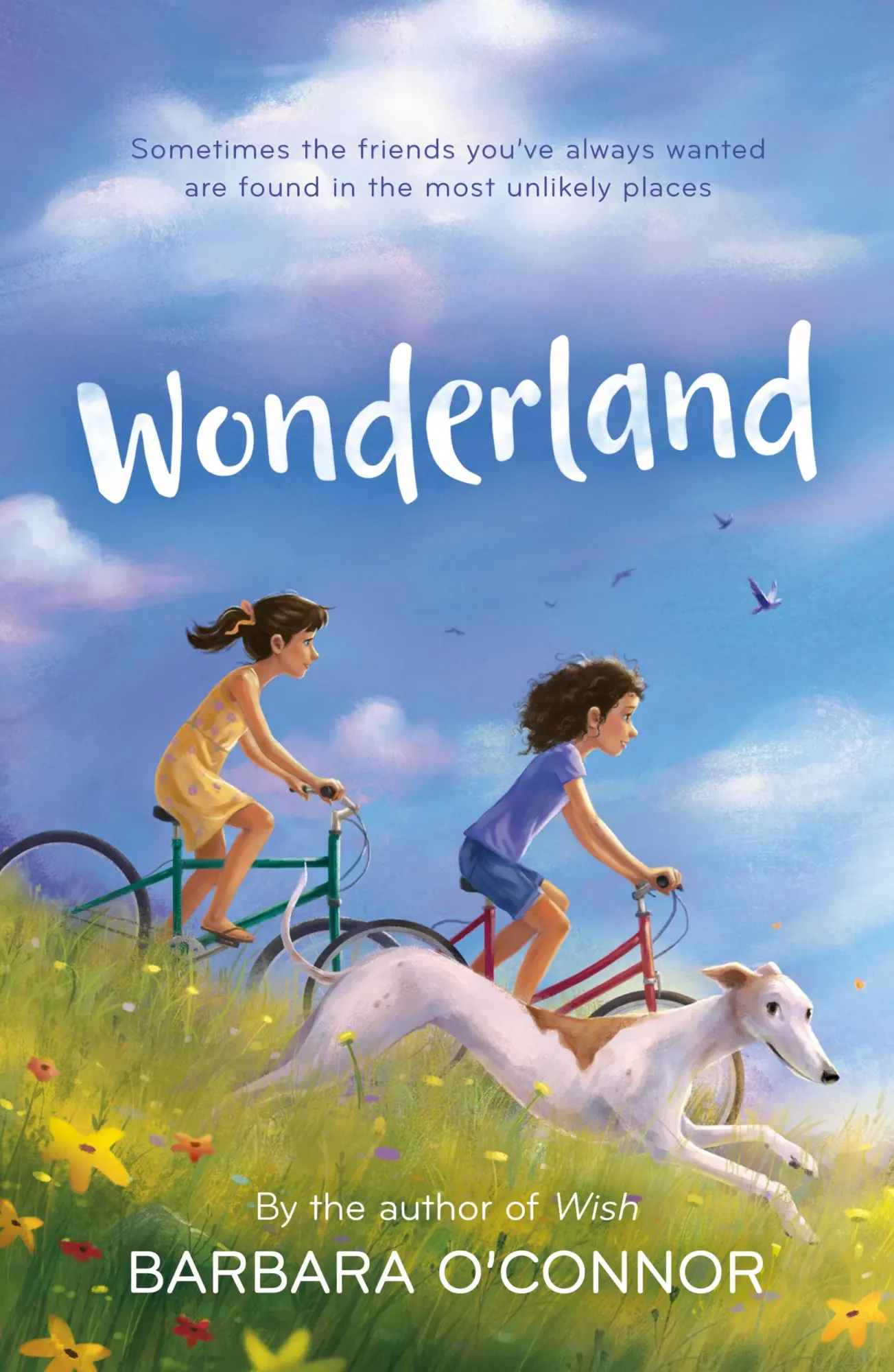 Cover: 9781250211385 | Wonderland | Barbara O'Connor | Taschenbuch | Englisch | 2019