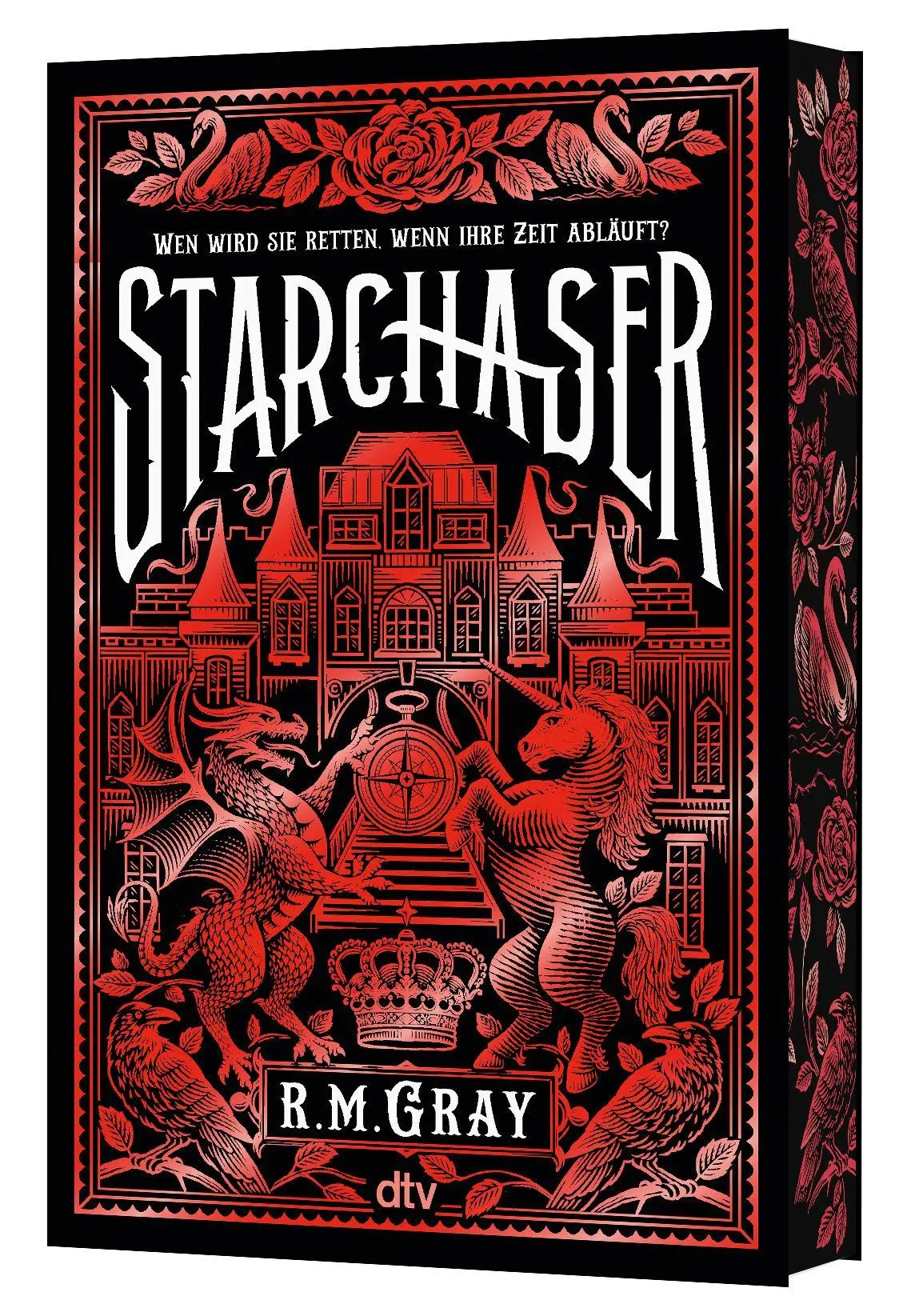Cover: 9783423741385 | Starchaser | R. M. Gray | Taschenbuch | 512 S. | Deutsch | 2026