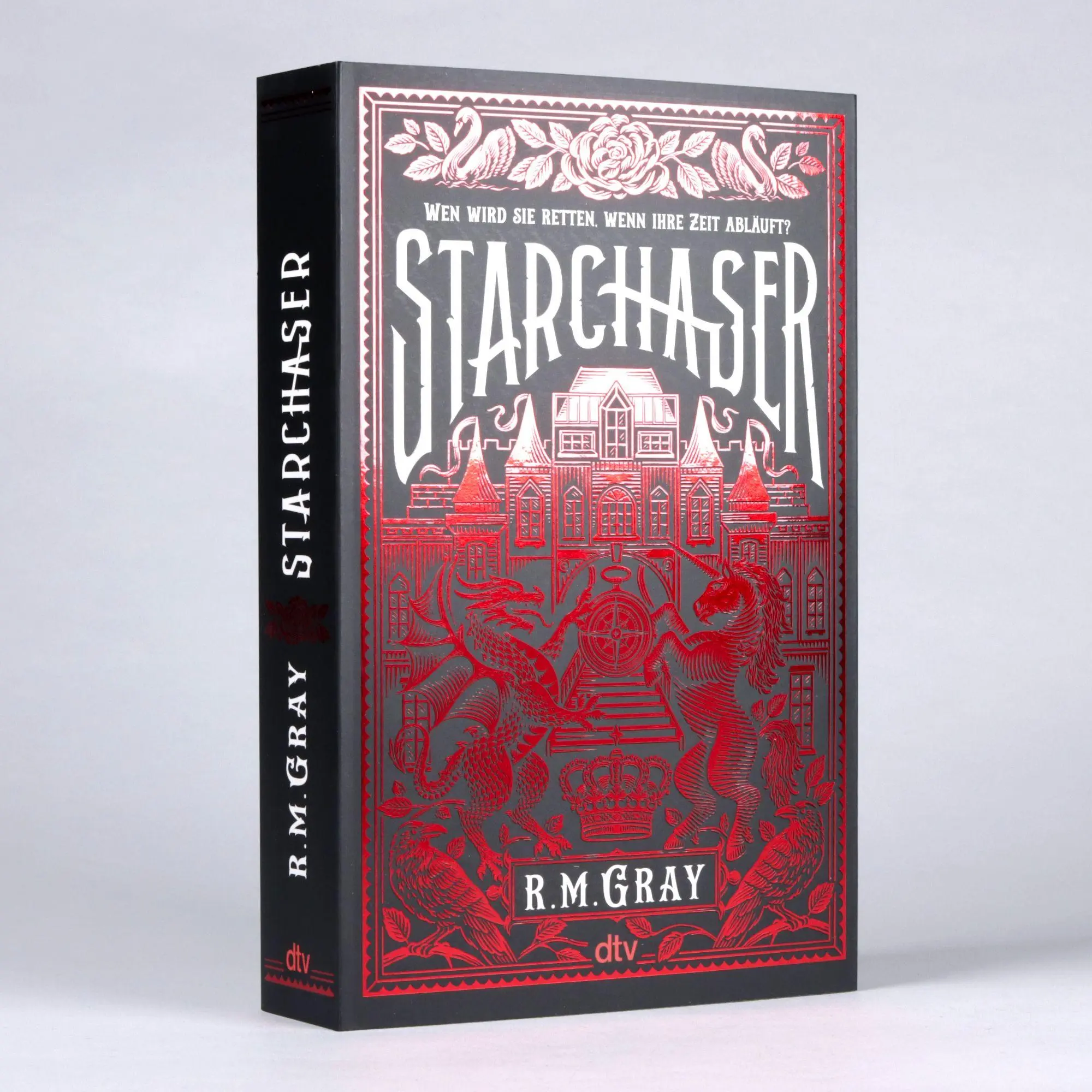 Bild: 9783423741385 | Starchaser | R. M. Gray | Taschenbuch | 512 S. | Deutsch | 2026