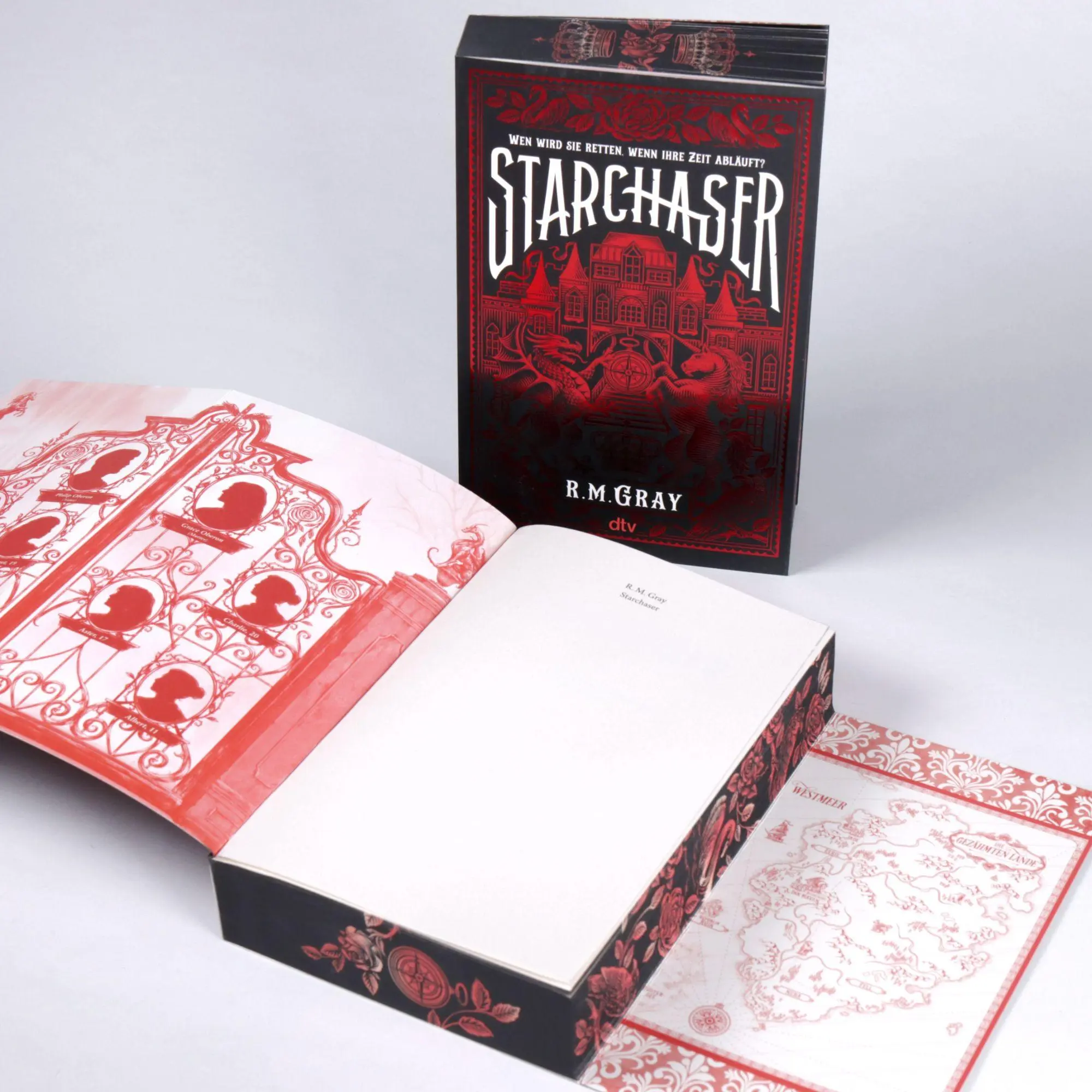 Bild: 9783423741385 | Starchaser | R. M. Gray | Taschenbuch | 512 S. | Deutsch | 2026