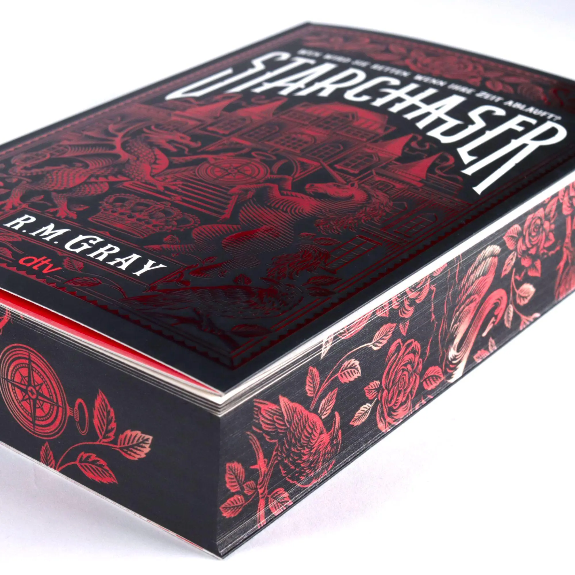 Bild: 9783423741385 | Starchaser | R. M. Gray | Taschenbuch | 512 S. | Deutsch | 2026