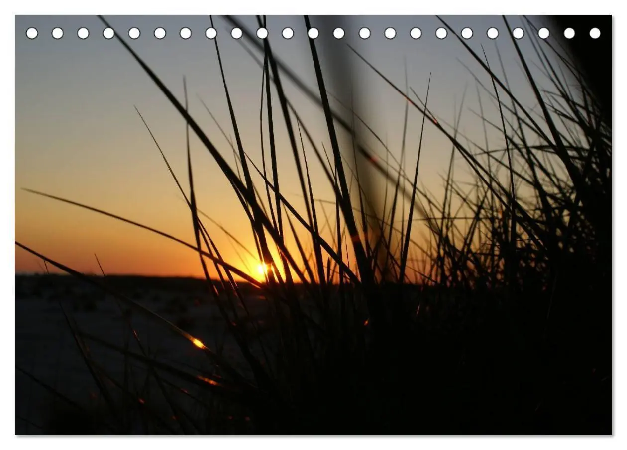Bild: 9783435481385 | Amrum - Trauminsel in der Nordsee (Tischkalender 2025 DIN A5 quer),...