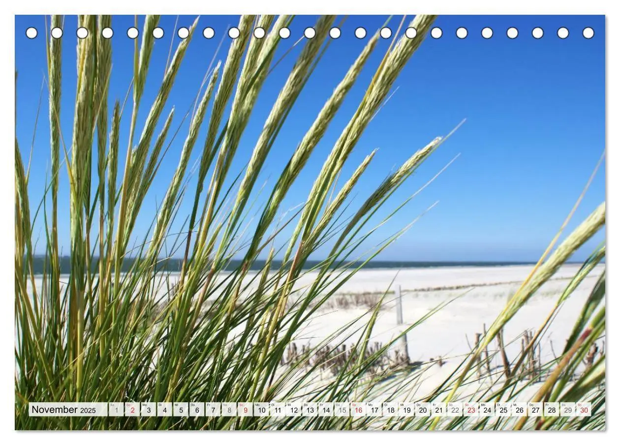 Bild: 9783435481385 | Amrum - Trauminsel in der Nordsee (Tischkalender 2025 DIN A5 quer),...