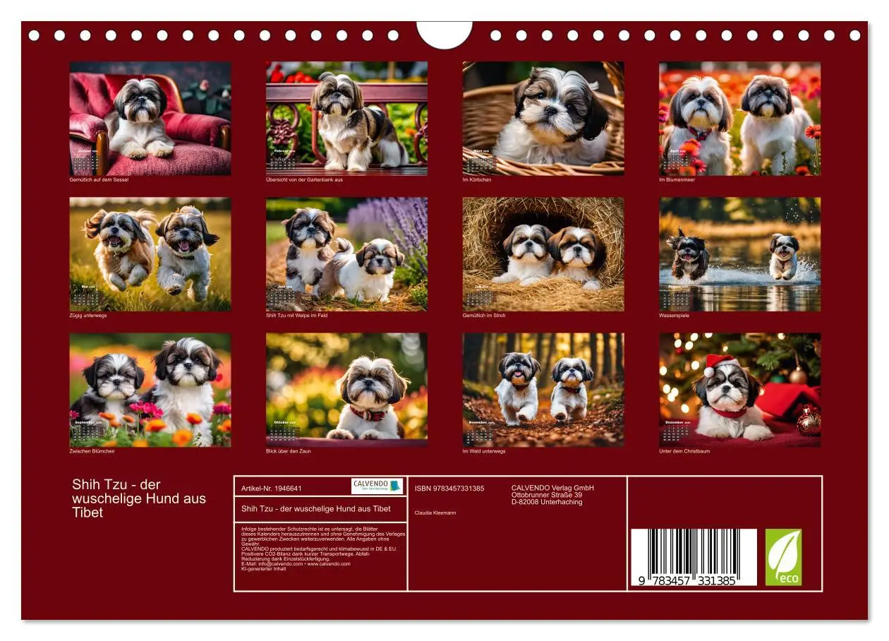 Bild: 9783457331385 | Shih Tzu - der wuschelige Hund aus Tibet (Wandkalender 2026 DIN A4...