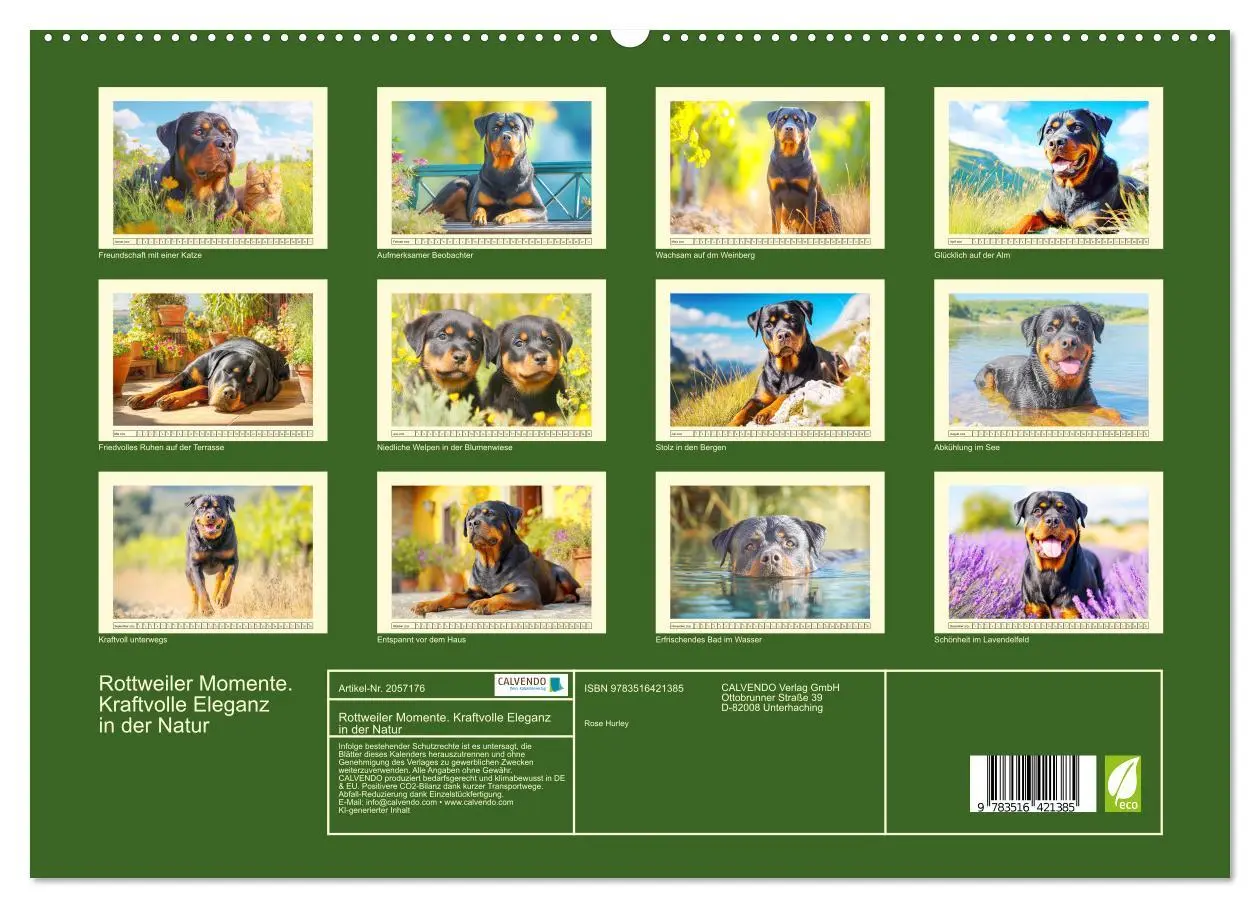 Bild: 9783516421385 | Rottweiler Momente. Kraftvolle Eleganz in der Natur (hochwertiger...
