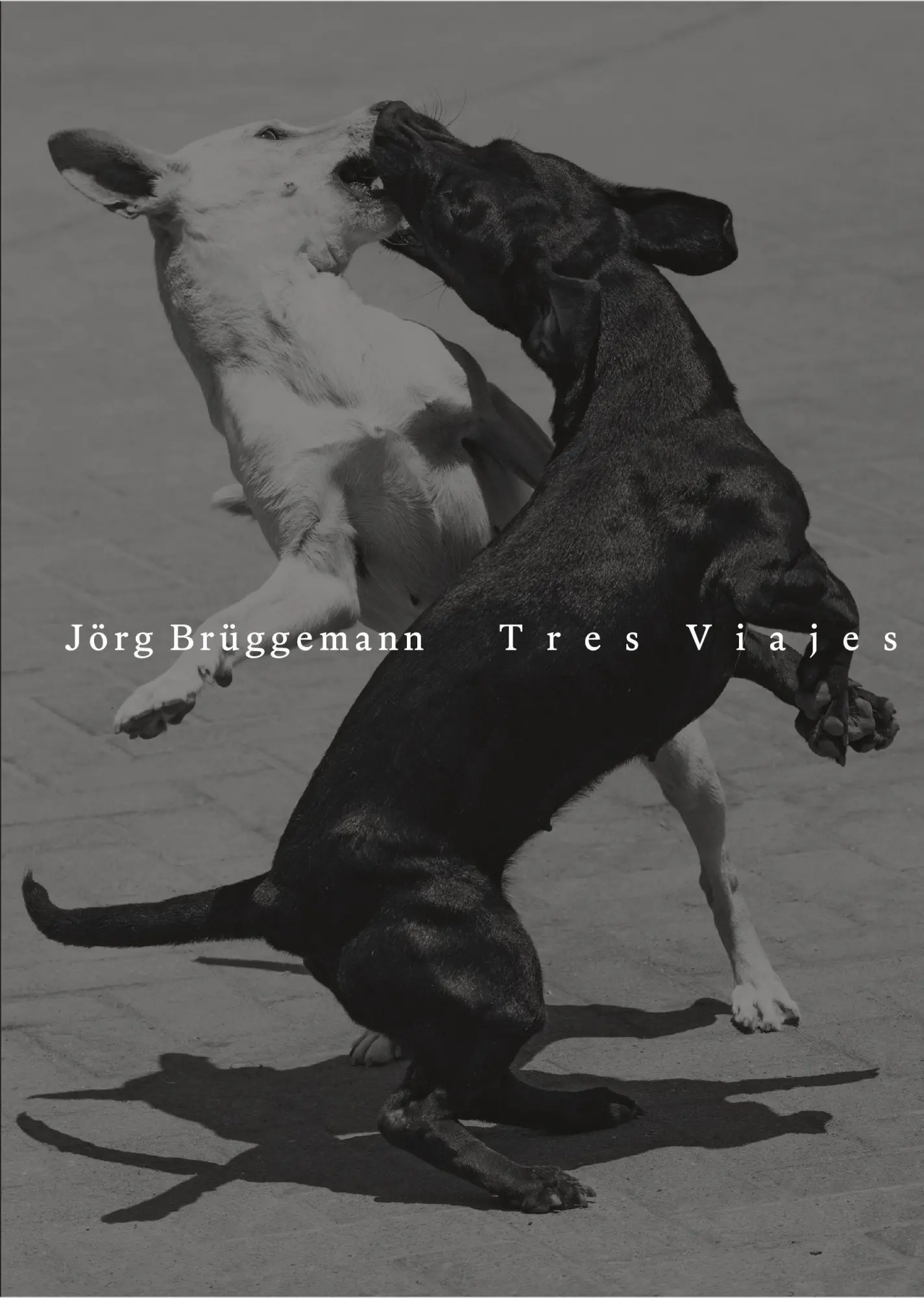 Cover: 9783960701385 | Jörg Brüggemann Tres Viajes | Jörg Brüggemann | Buch | 140 S. | 2025