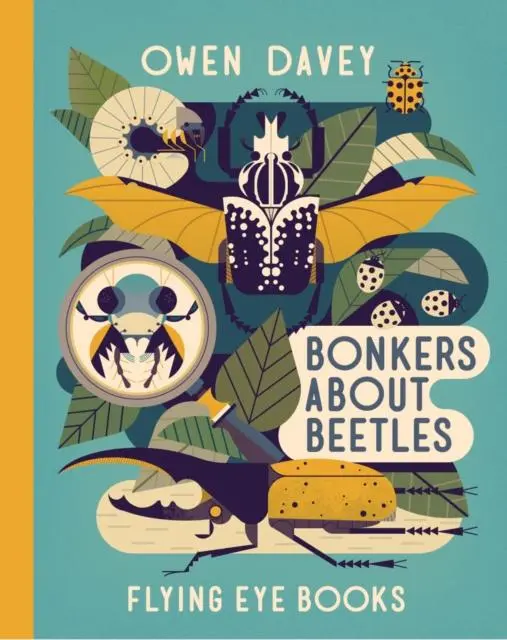 Cover: 9781911171485 | Bonkers About Beetles | Owen Davey | Buch | Gebunden | Englisch | 2018
