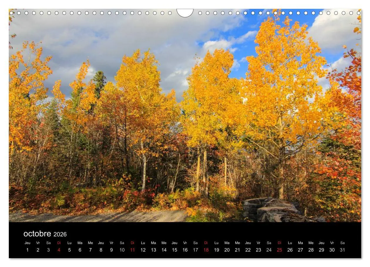 Bild: 9783516571585 | Paysages d'Automne au Québec (Calendrier mural 2026 DIN A3...