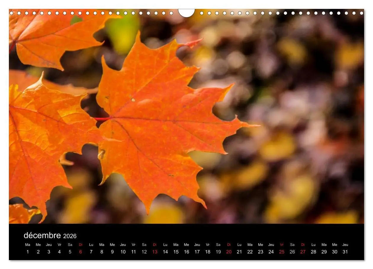 Bild: 9783516571585 | Paysages d'Automne au Québec (Calendrier mural 2026 DIN A3...