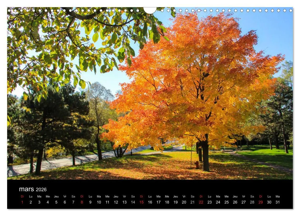 Bild: 9783516571585 | Paysages d'Automne au Québec (Calendrier mural 2026 DIN A3...
